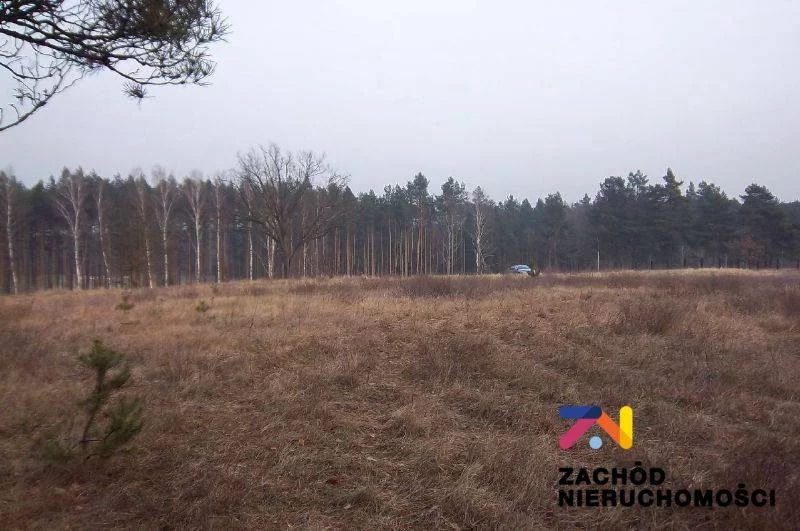 33550227 - zdjęcie nr 0