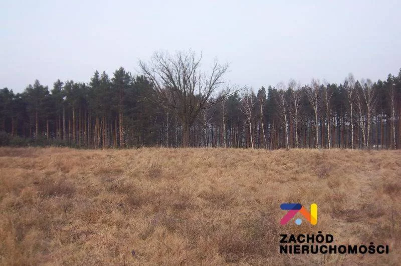 33550227 - zdjęcie nr 2
