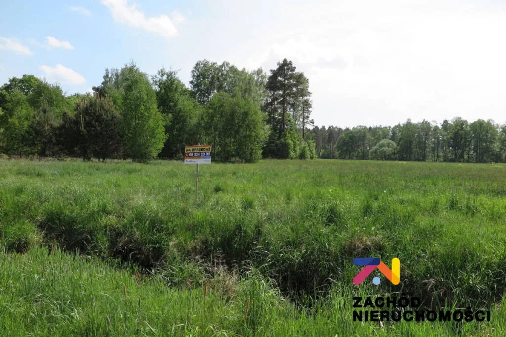 Apartamenty 158330227 Świdnica