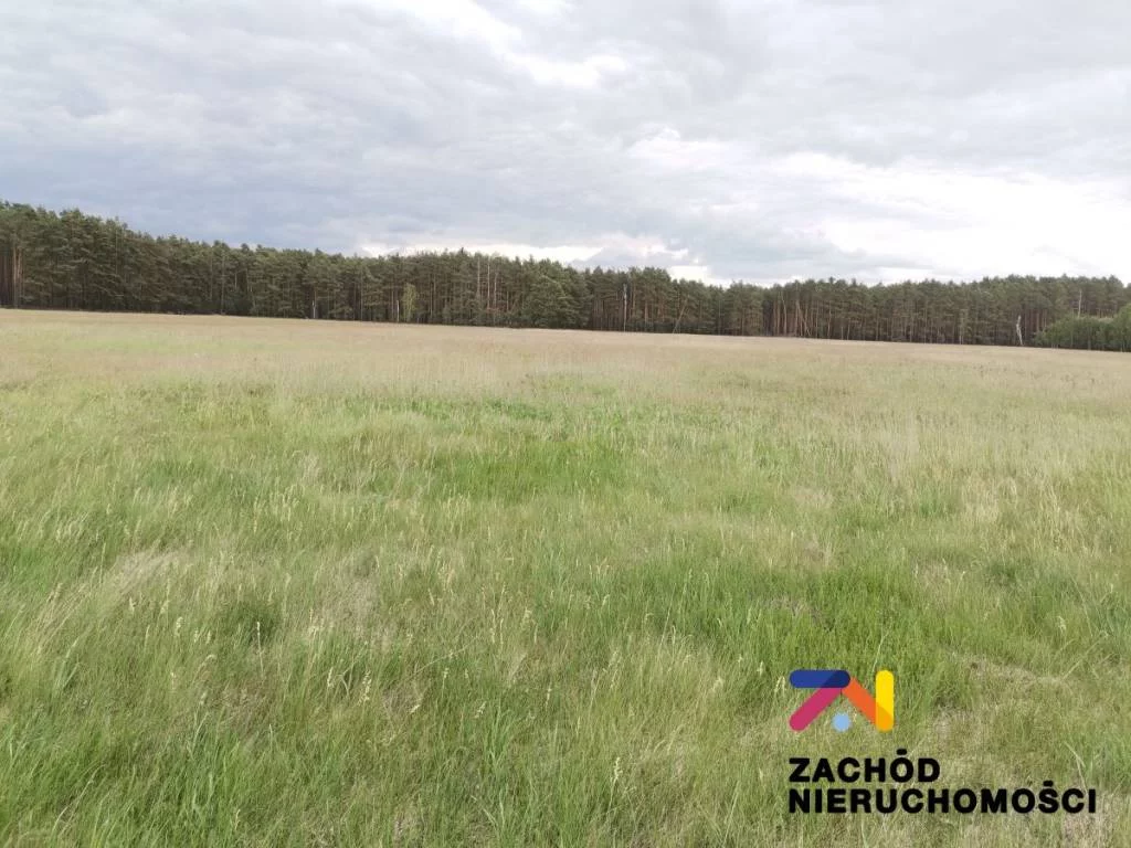 Apartamenty 156340227 Świdnica