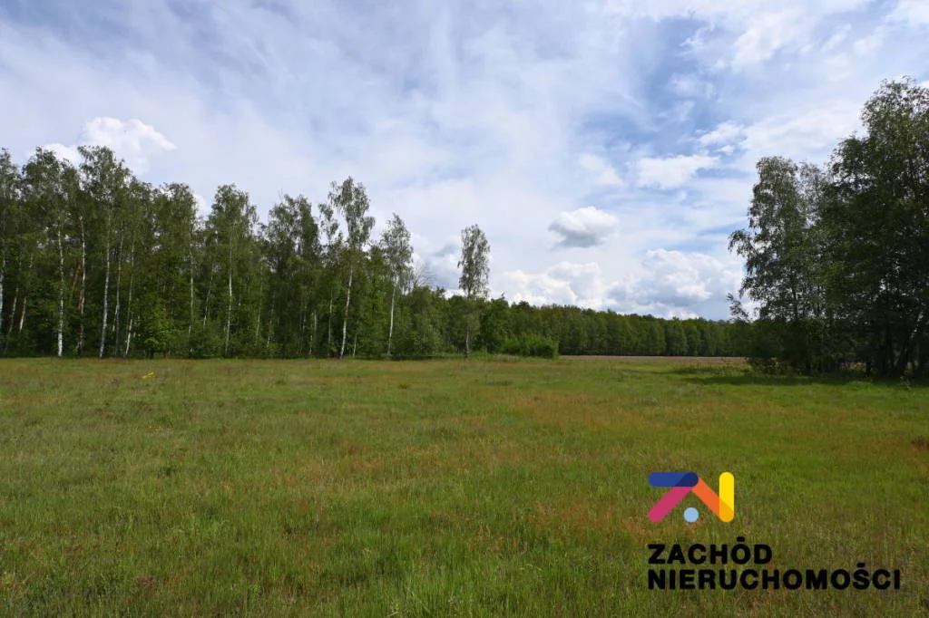 Apartamenty 155430227 Świdnica