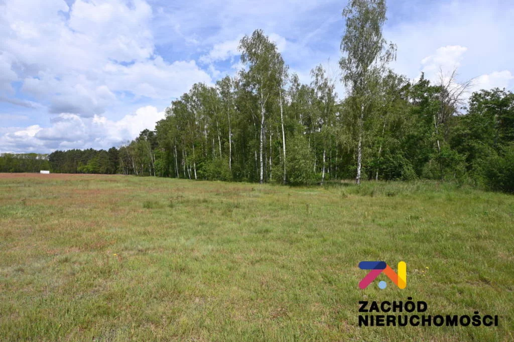 Działka 5 970,00 m², oferta nr , 155430227, Świdnica