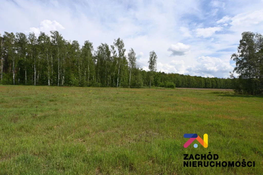 Działka 5 970,00 m², oferta nr , 155430227, Świdnica
