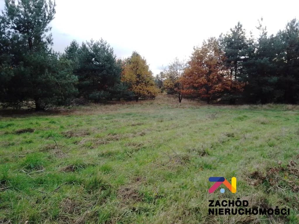 152610227 - zdjęcie nr 0