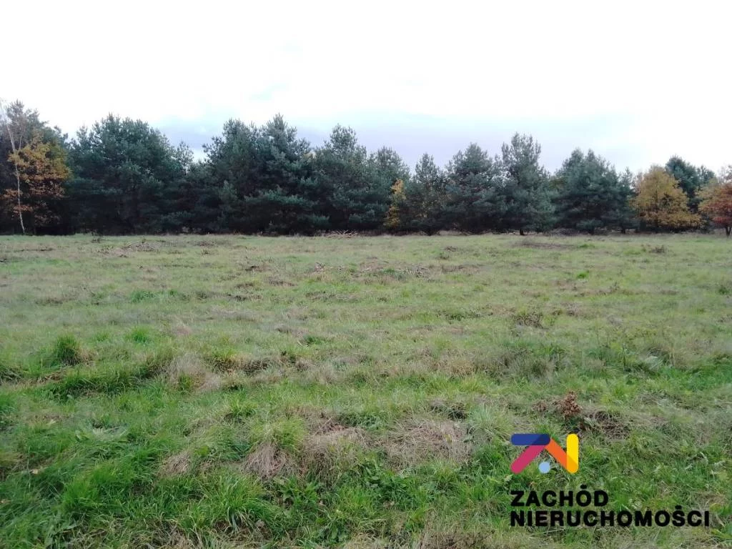 152610227 - zdjęcie nr 1
