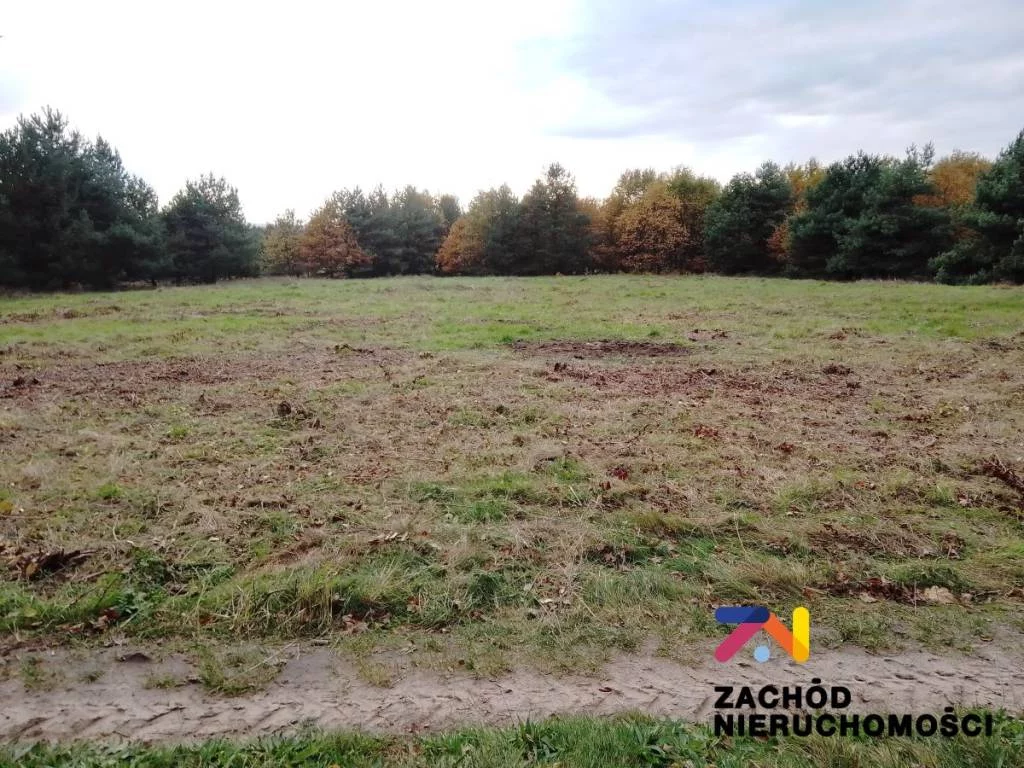 152610227 - zdjęcie nr 2