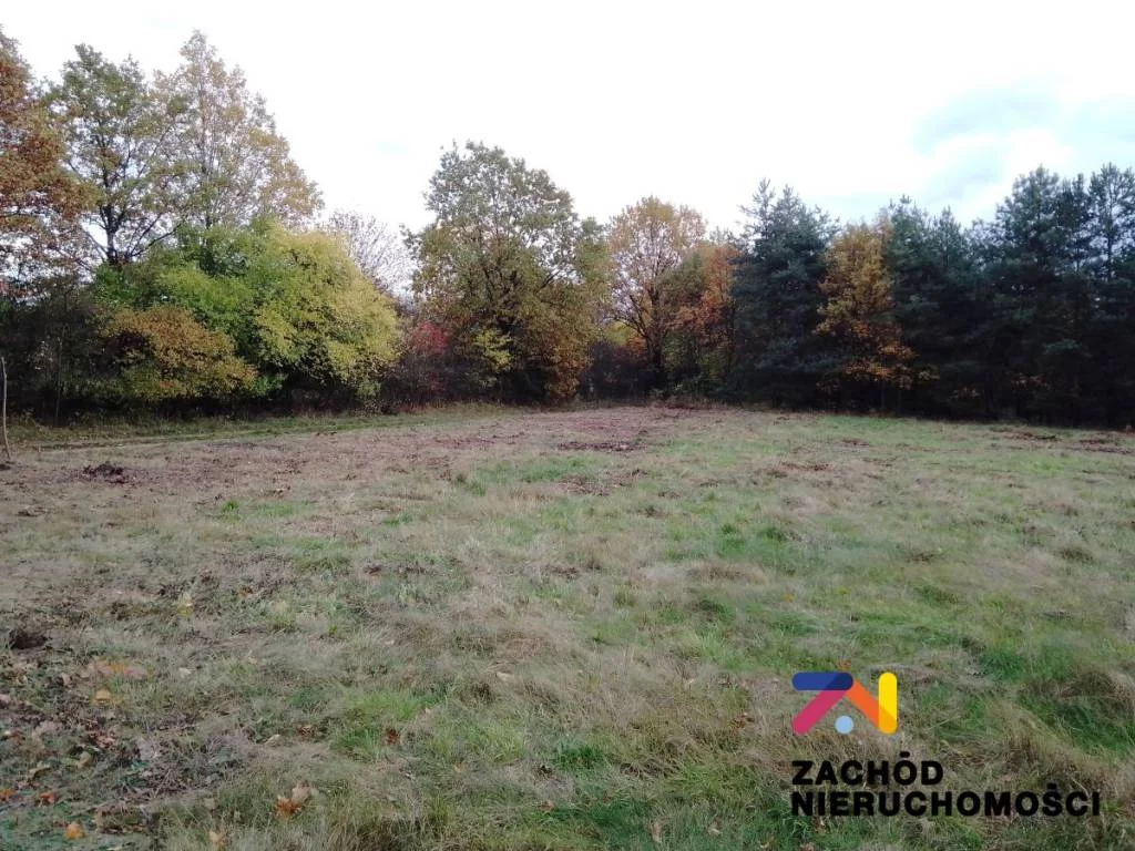 152610227 - zdjęcie nr 3