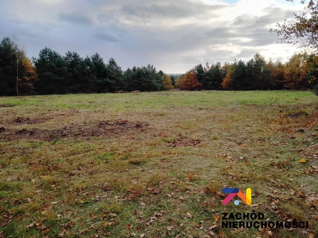 152610227 - zdjęcie nr 4
