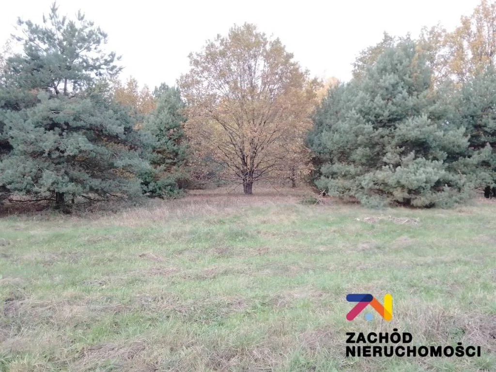 152610227 - zdjęcie nr 5