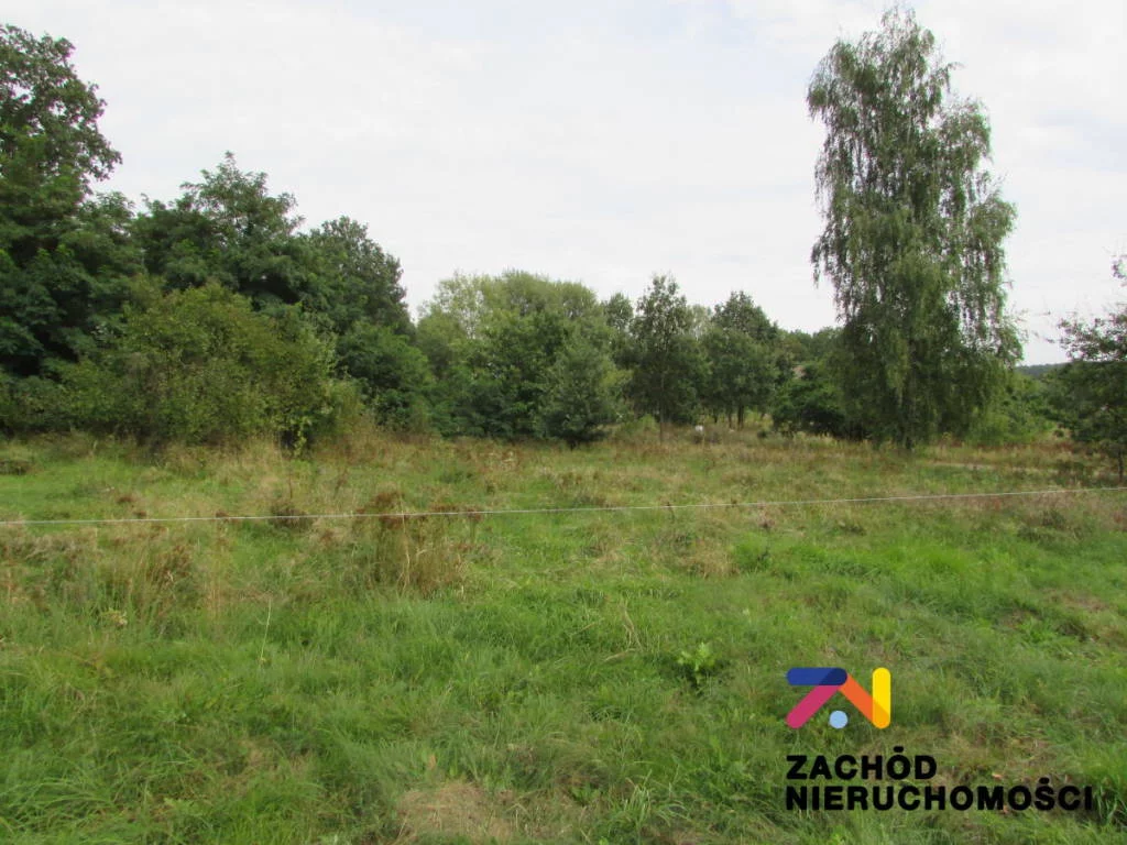 Apartamenty 144810227 Świdnica