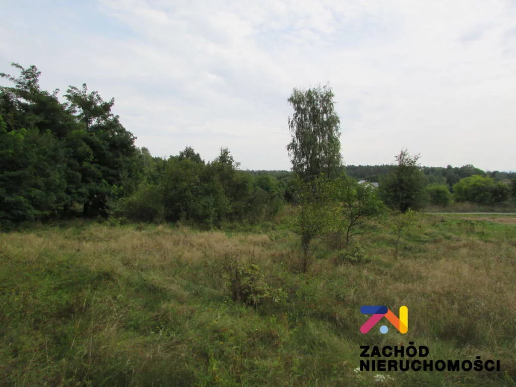 144810227 - zdjęcie nr 0