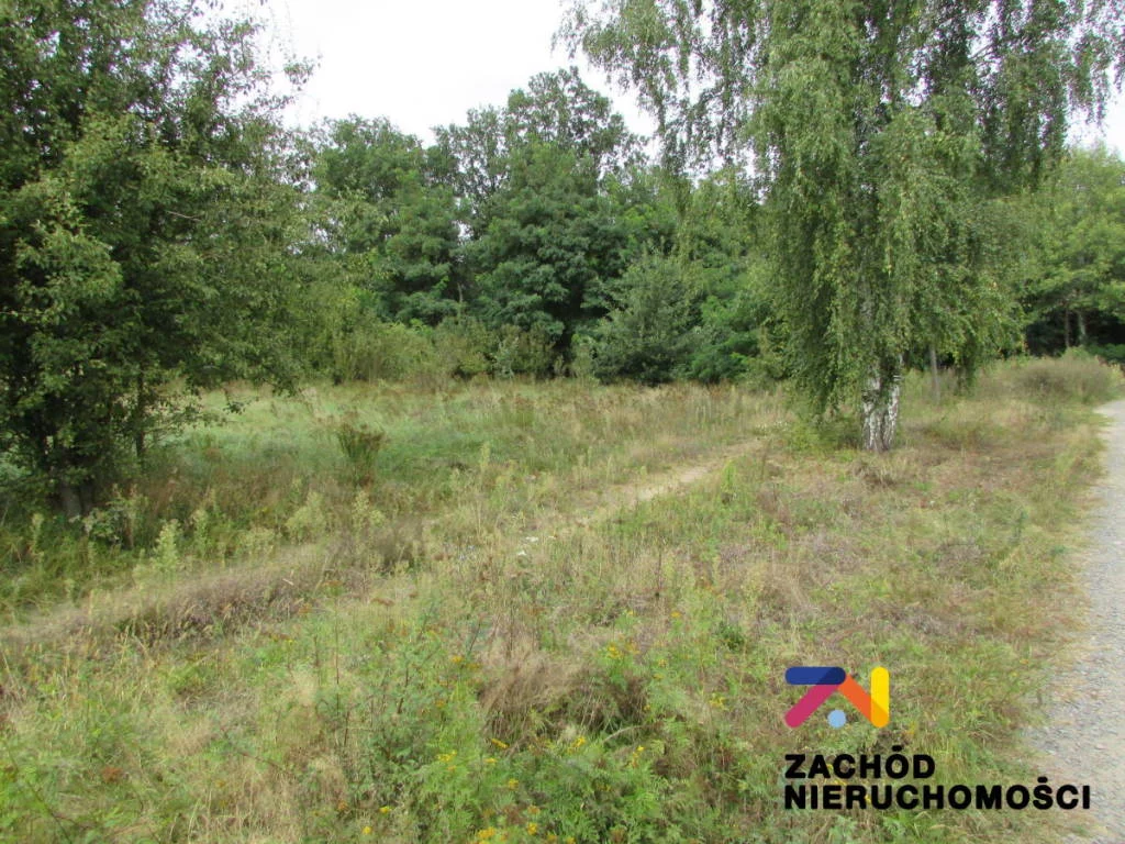 144810227 - zdjęcie nr 4