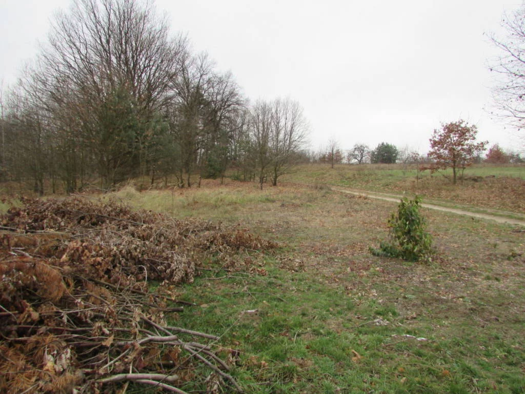 Działka 4 918,00 m², oferta nr , 92810227, Świdnica
