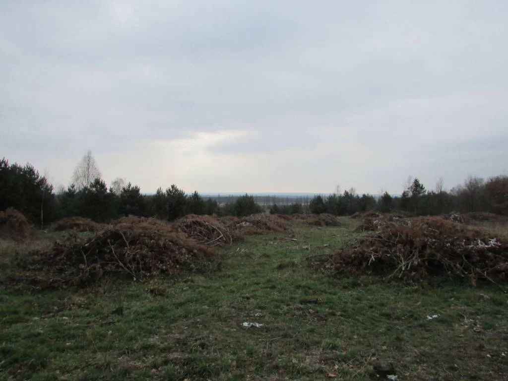 92810227 - zdjęcie nr 3