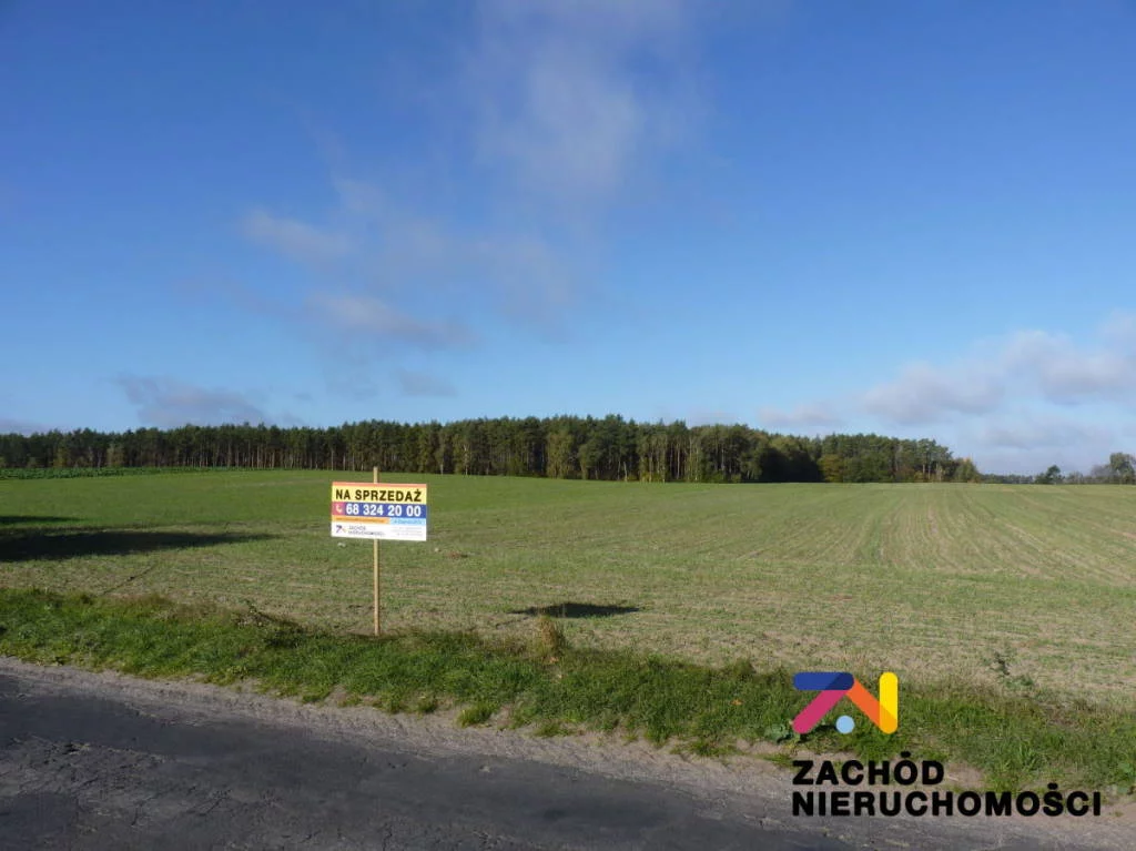 Apartamenty 145120227 Świebodzin