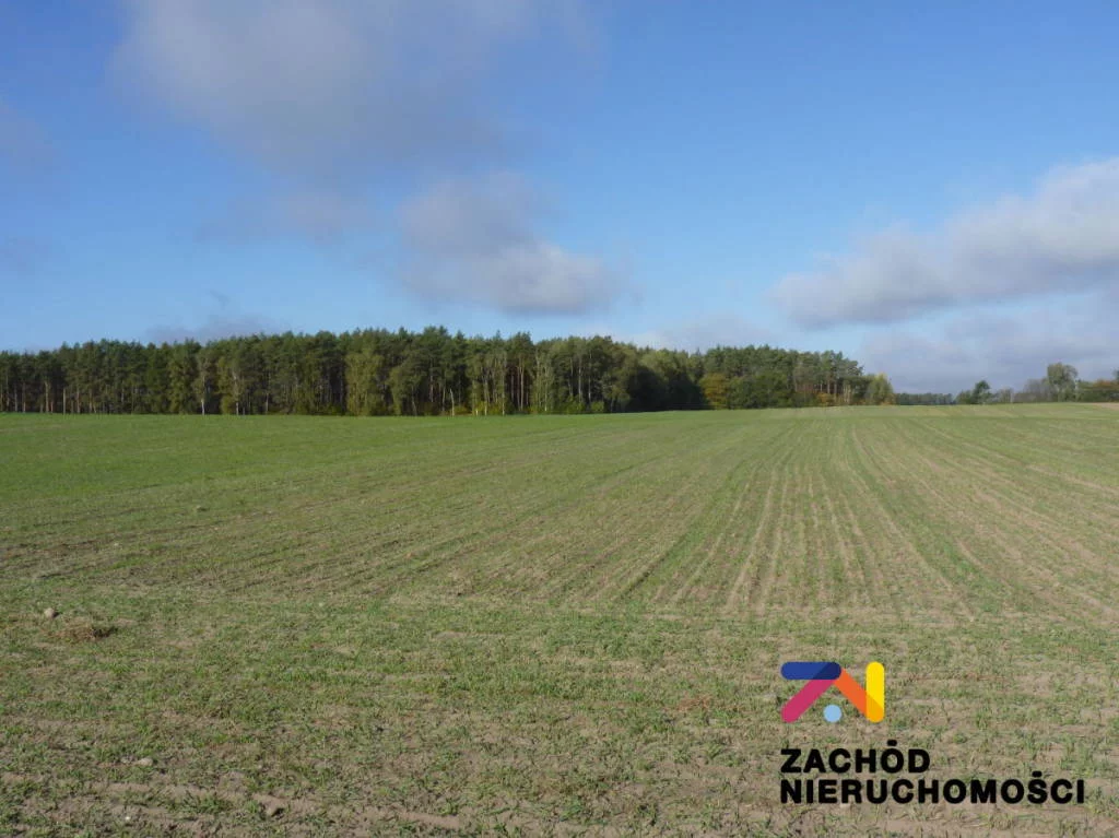 Działka 12 700,00 m², oferta nr , 145120227, Świebodzin