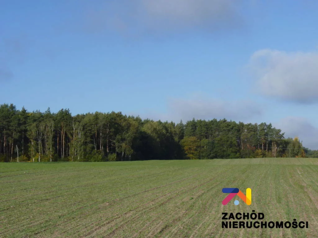 Działka 12 700,00 m², oferta nr , 145120227, Świebodzin
