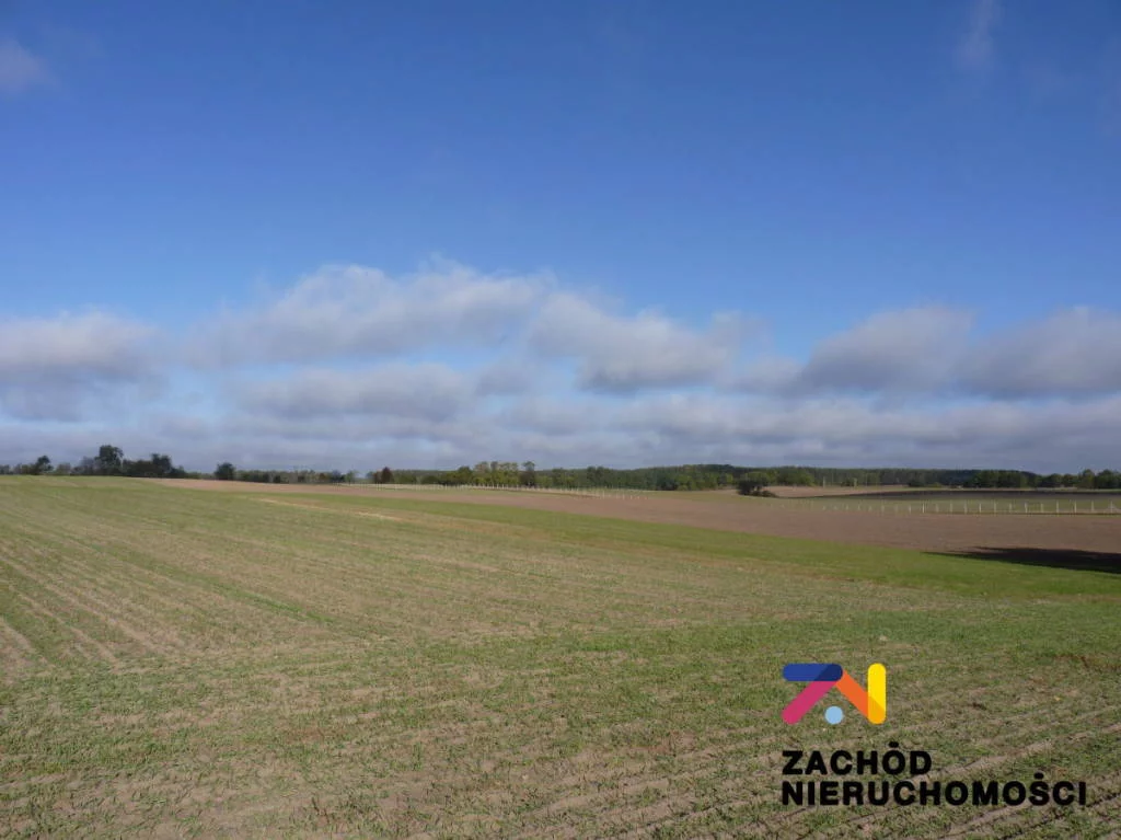 Działka 12 700,00 m², oferta nr , 145120227, Świebodzin