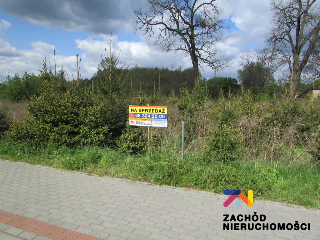 154940227 - zdjęcie nr 3