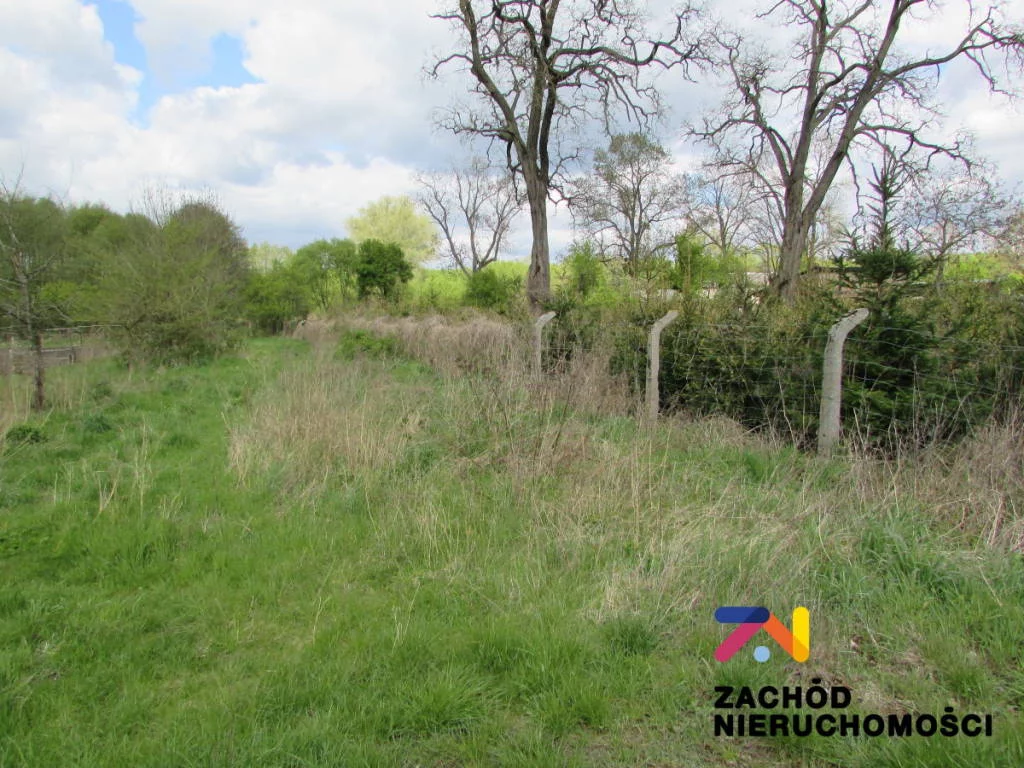 154940227 - zdjęcie nr 4