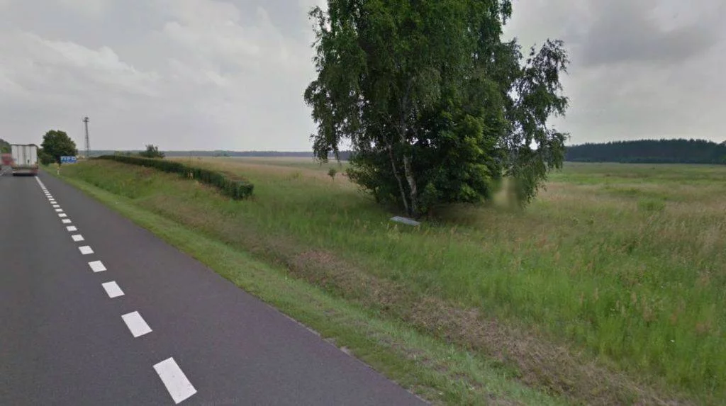 Działka 9 769,00 m², oferta nr , 56700227, Torzym