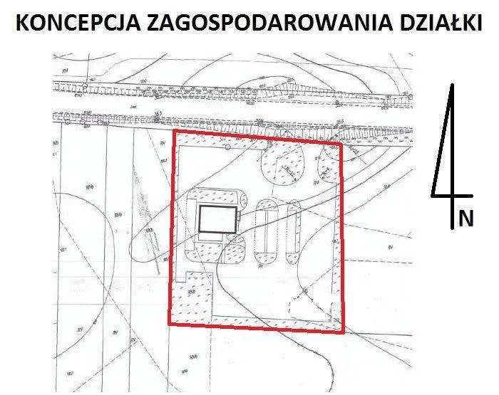 56700227 - zdjęcie nr 3