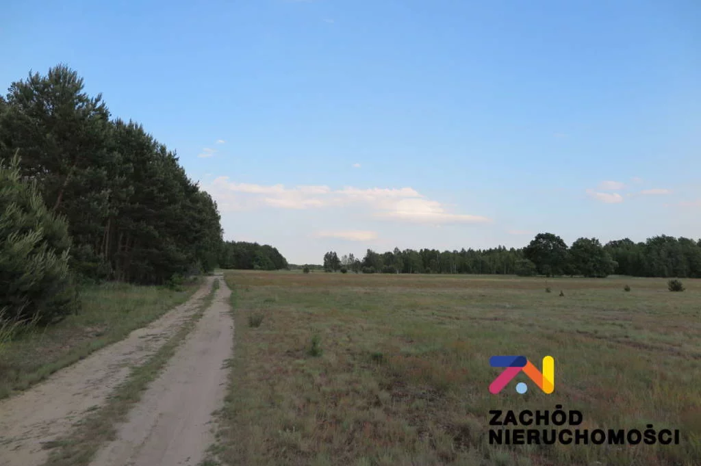 147100227 - zdjęcie nr 1