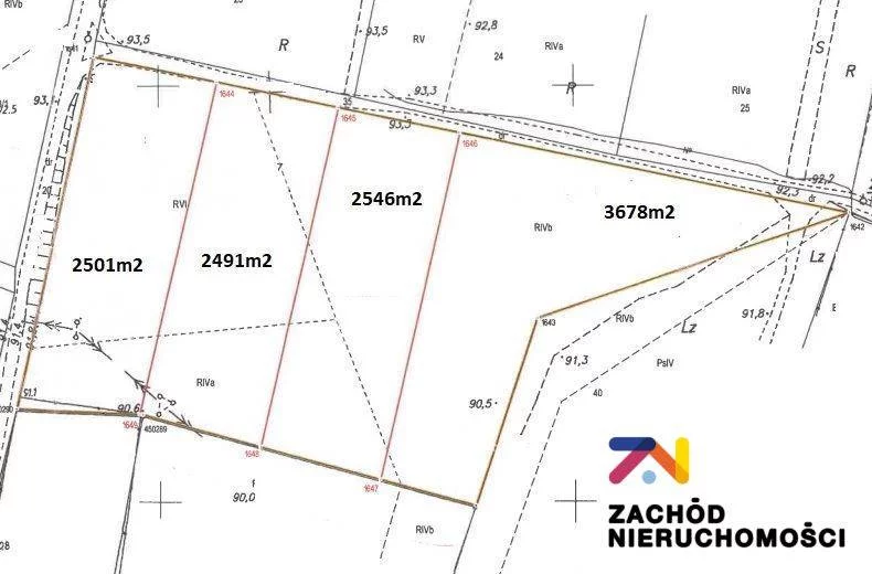 146710227 - zdjęcie nr 2