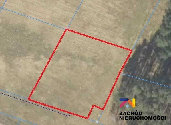143630227 - zdjęcie nr 0