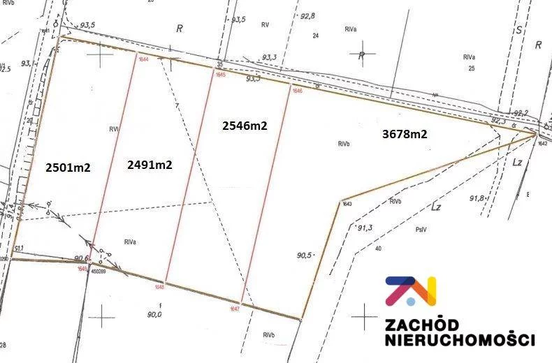 142800227 - zdjęcie nr 2