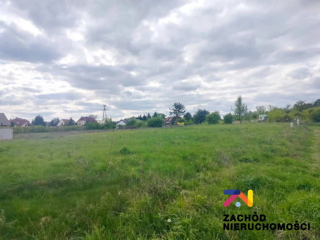 154980227 - zdjęcie nr 0