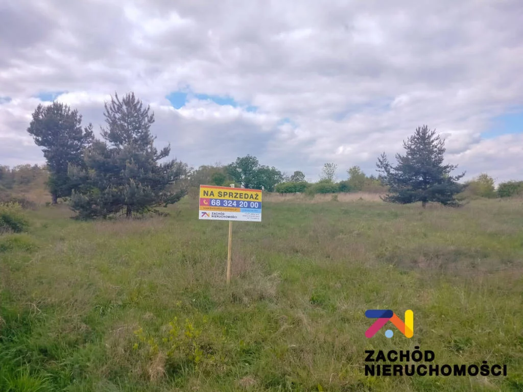 154980227 - zdjęcie nr 2