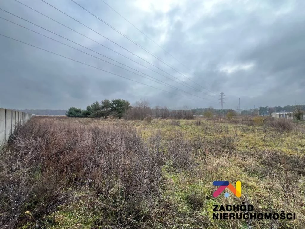 159120227 - zdjęcie nr 0