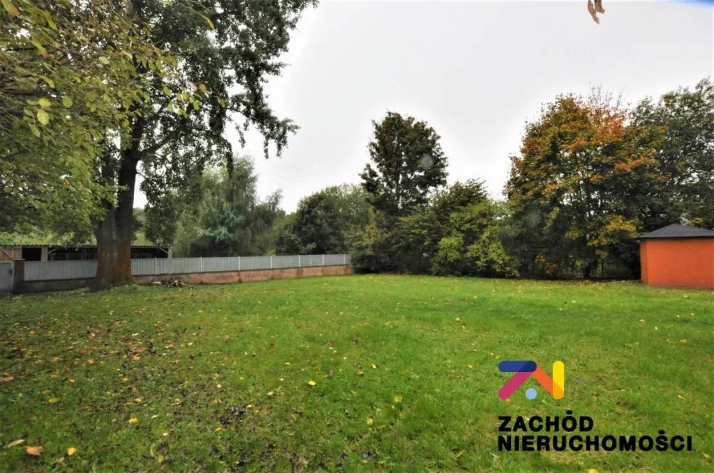 141160227 - zdjęcie nr 3