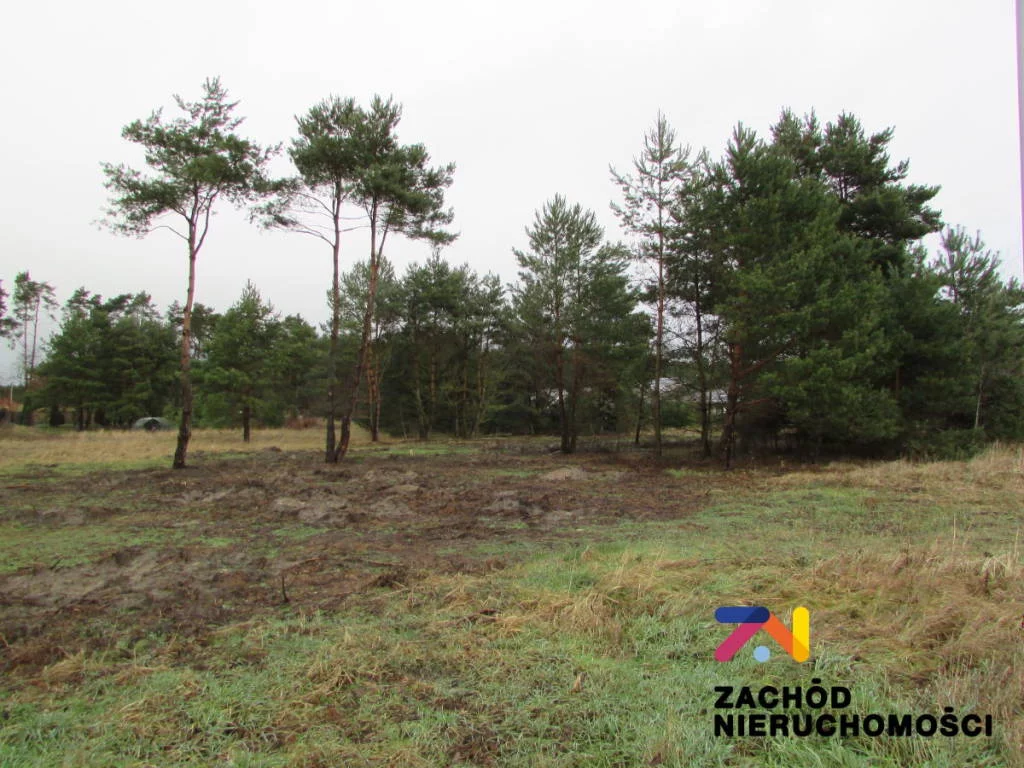 147680227 - zdjęcie nr 0