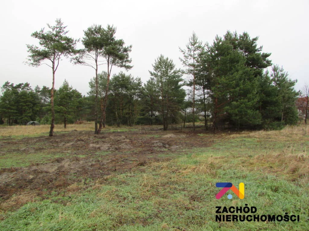 147680227 - zdjęcie nr 2