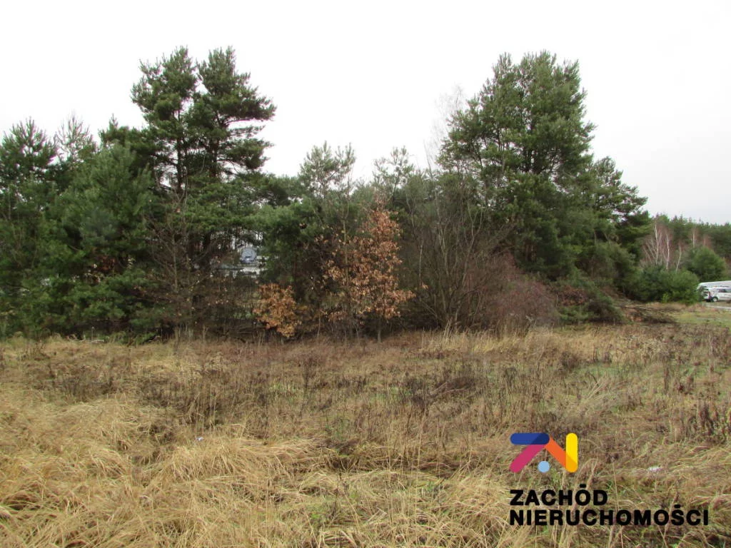 147680227 - zdjęcie nr 3