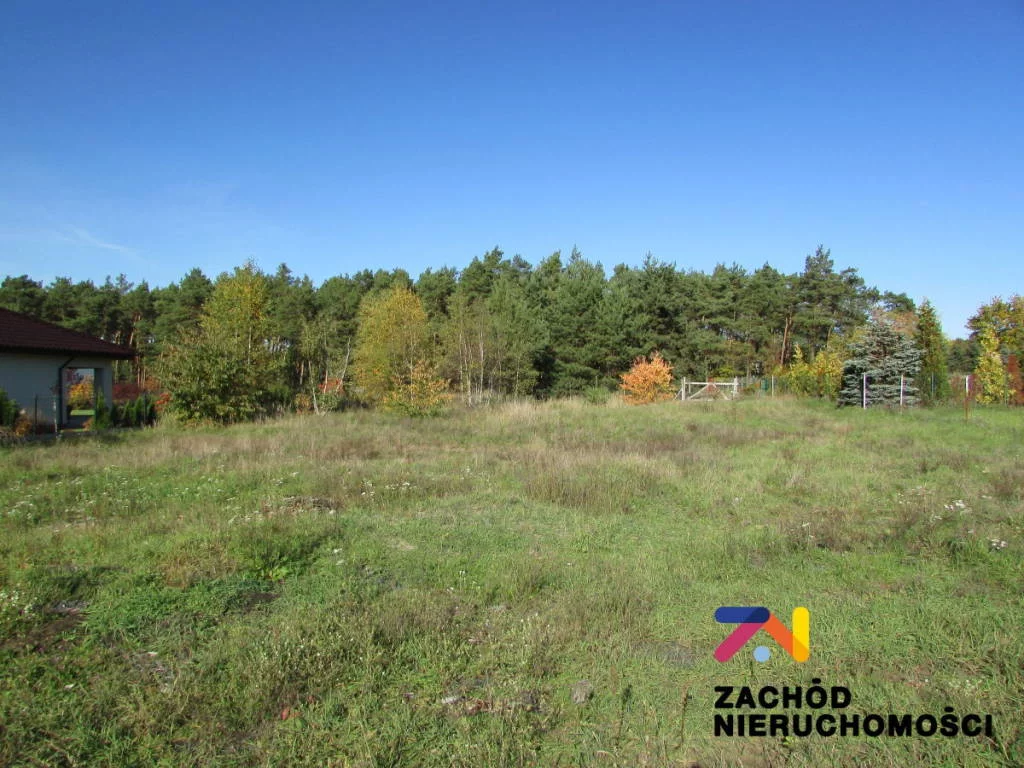 Apartamenty 145940227 Zielona Góra Łężyca