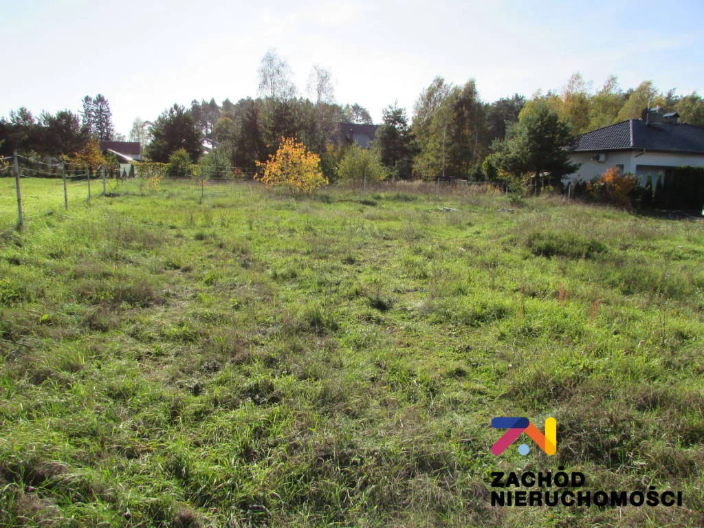 145940227 - zdjęcie nr 0