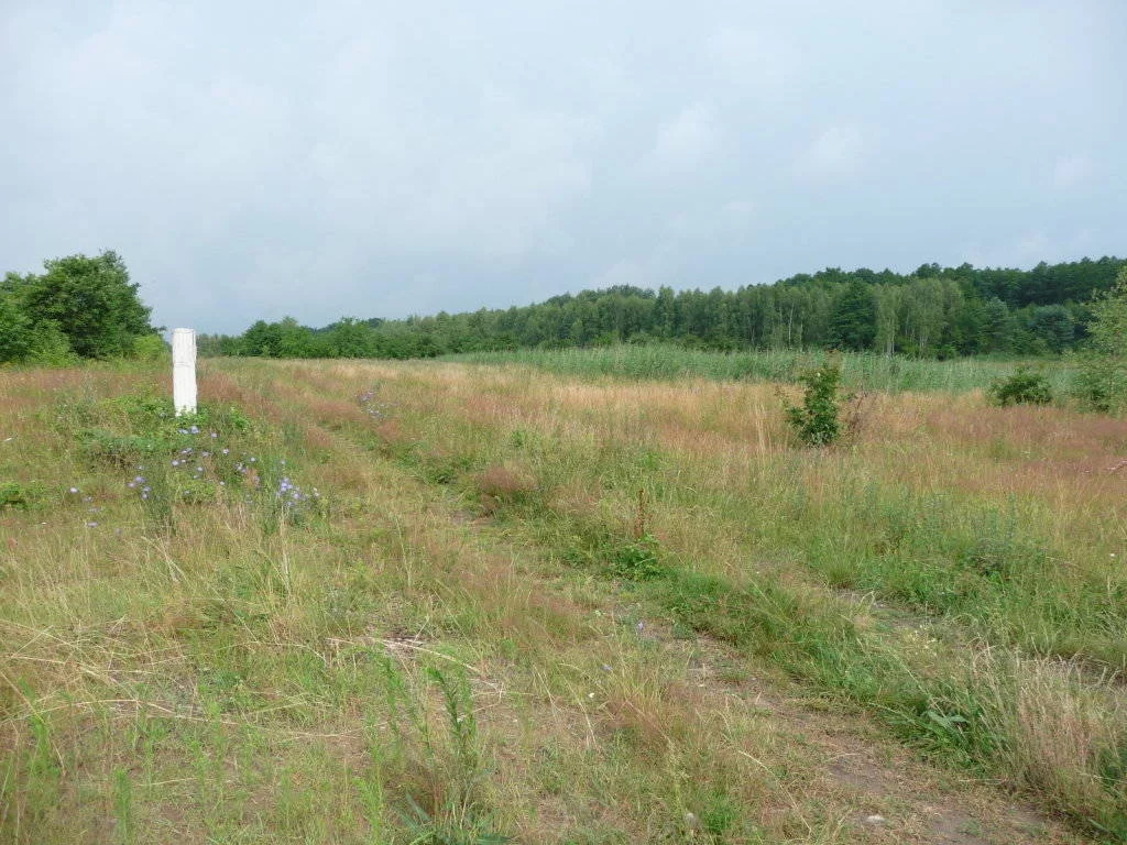 Działka 21 700,00 m², oferta nr , 85980227, Zielona Góra, Ochla