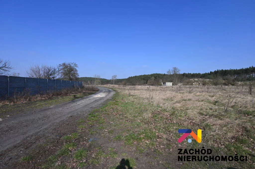 154260227 - zdjęcie nr 2