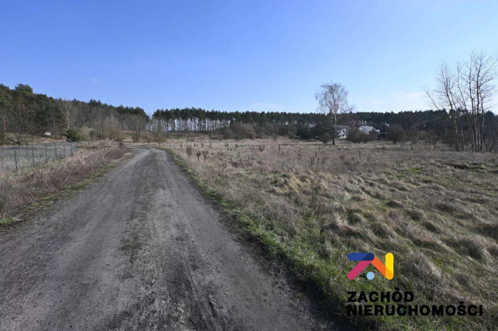 154260227 - zdjęcie nr 3