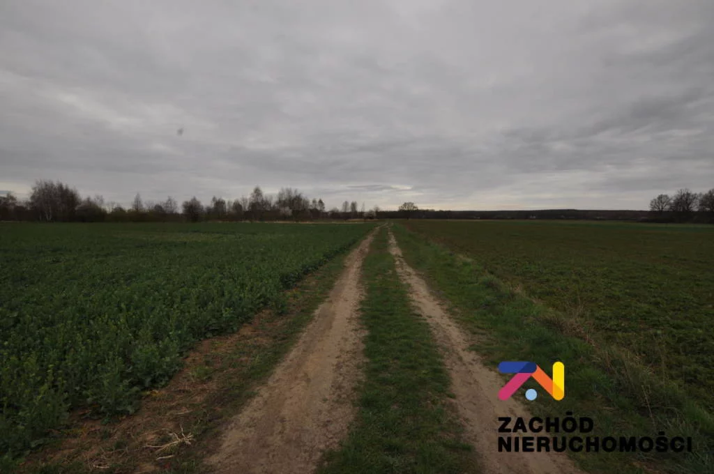 161030227 - zdjęcie nr 5