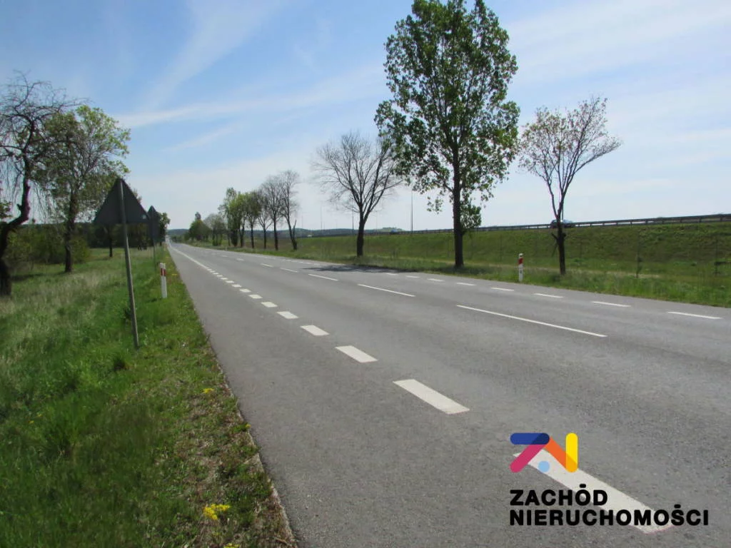 141470227 - zdjęcie nr 4