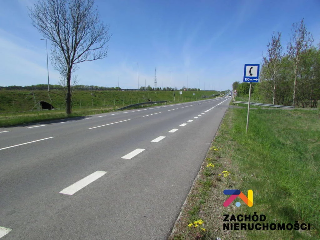141470227 - zdjęcie nr 5