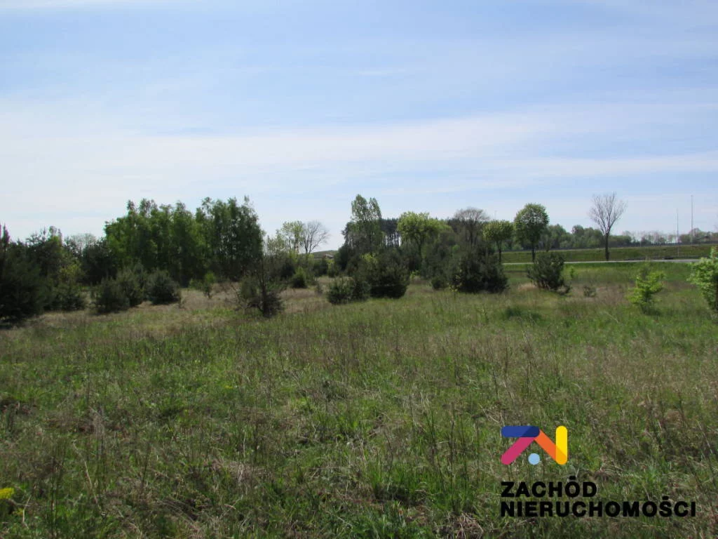 133560227 - zdjęcie nr 3