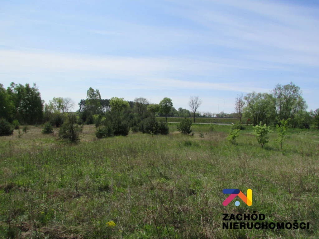 Działka 6 000,00 m², oferta nr , 133560227, Zimna Brzeźnica