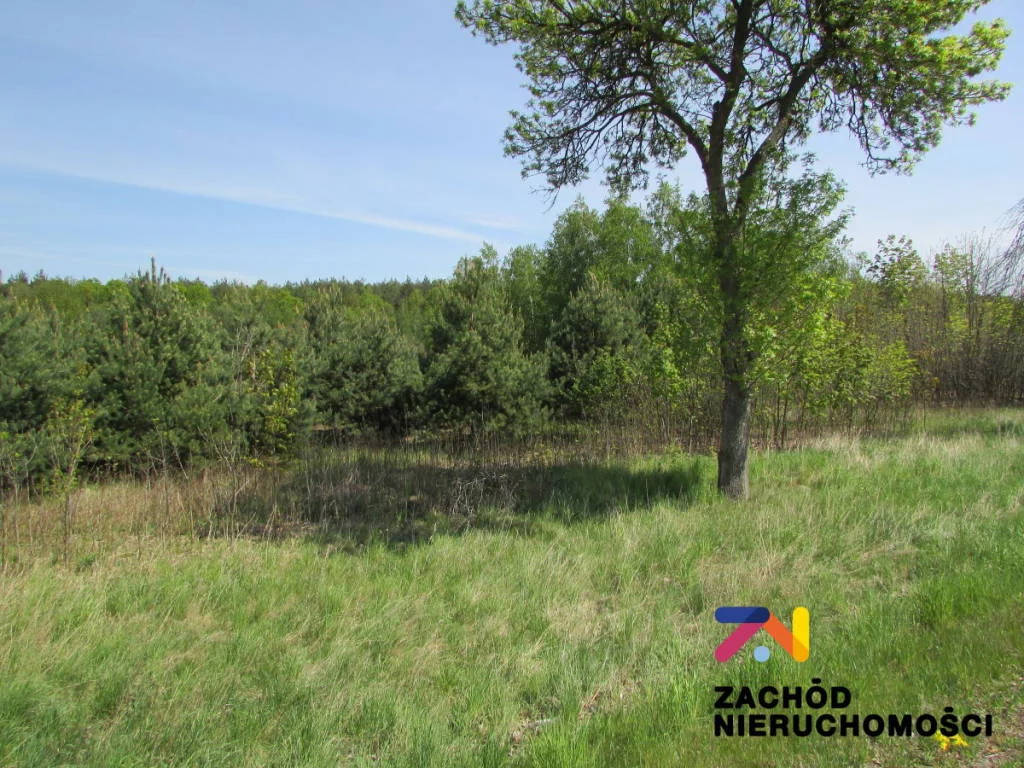 Działka 6 000,00 m², oferta nr , 133560227, Zimna Brzeźnica