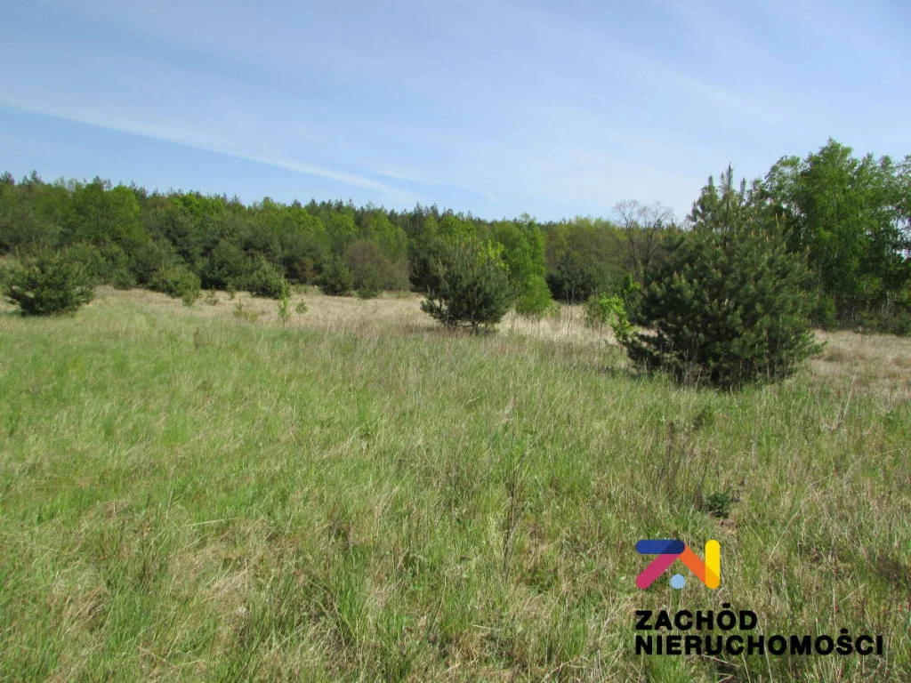 Działka 6 000,00 m², oferta nr , 133560227, Zimna Brzeźnica