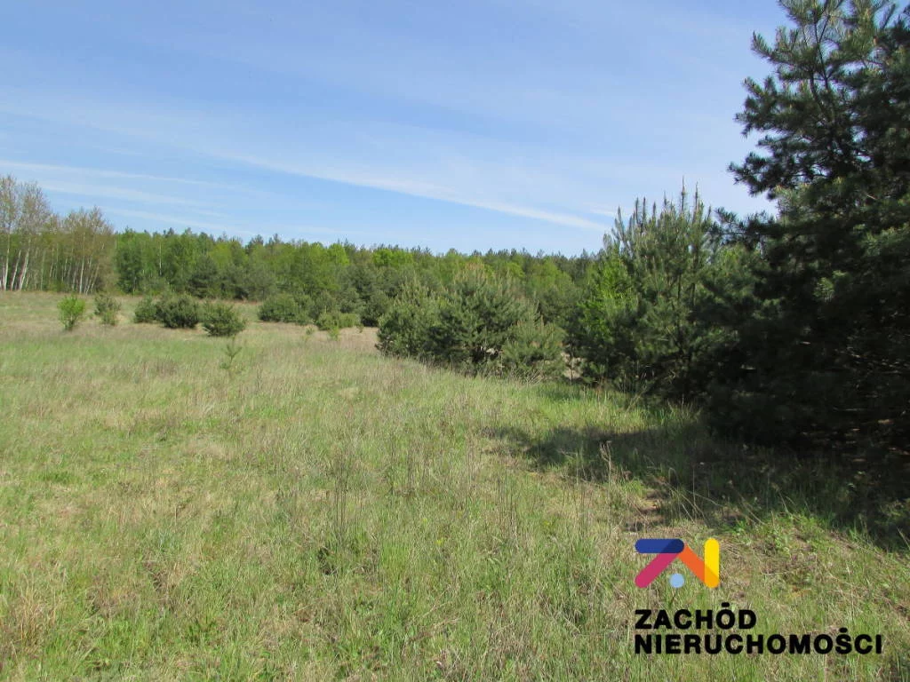 Działka 6 000,00 m², oferta nr , 133560227, Zimna Brzeźnica